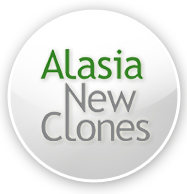 ALASIA NEW CLONES