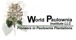 World Paulownia Institute