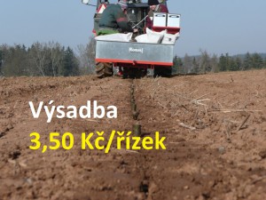  Výsadba