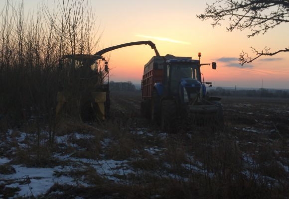 Sklizeň štěpky jednofázová